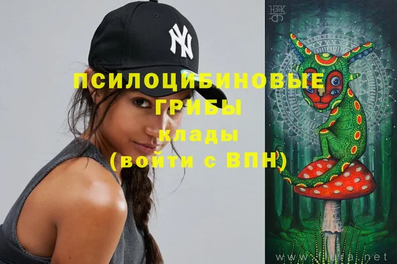 Псилоцибиновые грибы прущие грибы  сайты даркнета как зайти  Пугачёв  ОМГ ОМГ ССЫЛКА 